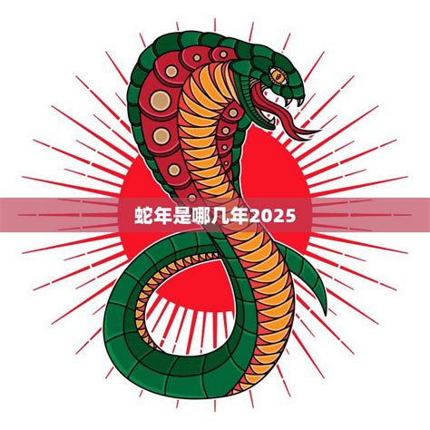 金蛇年是哪一年|金蛇年是哪些年份 金蛇命运怎么样